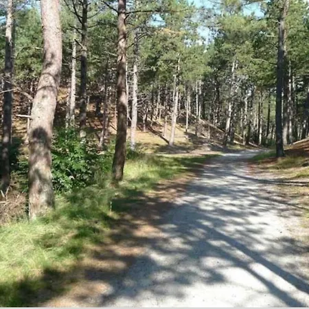 Knusse Vakantiewoning In Camperduin בית נופש