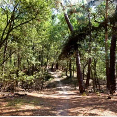 Knusse Vakantiewoning In Camperduin *