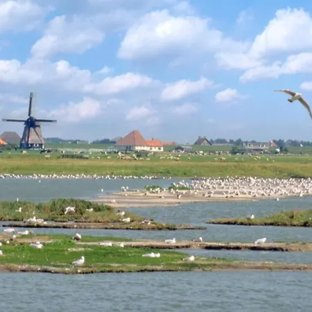 Knusse Vakantiewoning In Camperduin בית נופש *