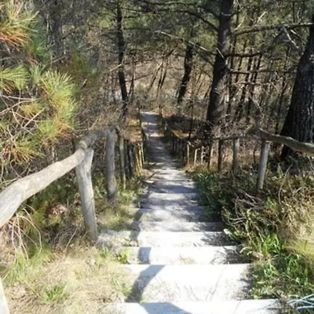 Knusse Vakantiewoning In Camperduin בית נופש *