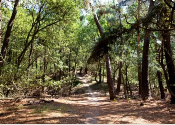 Knusse Vakantiewoning In Camperduin *