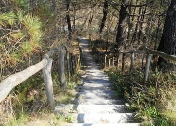 Knusse Vakantiewoning In Camperduin Semesterbostad *