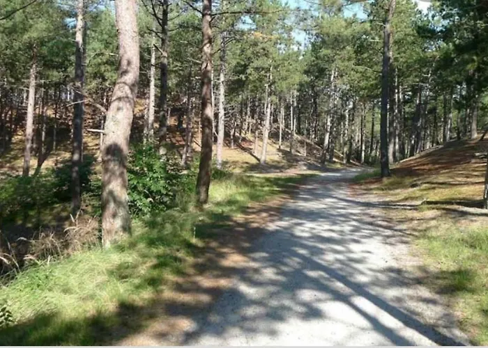 Knusse Vakantiewoning In Camperduin Semesterbostad