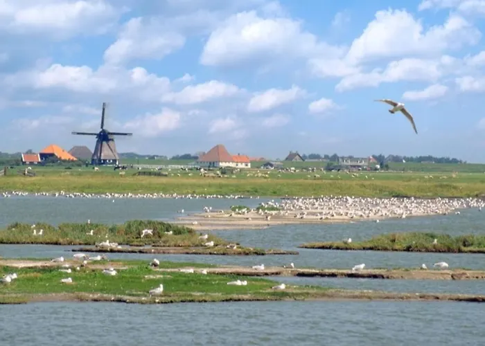 Knusse Vakantiewoning In Camperduin Semesterbostad *